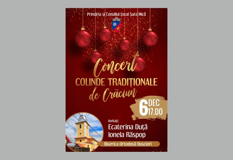 Afiș Șura Mică (1)