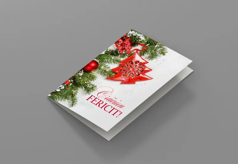 Felicitare Toplița (3)