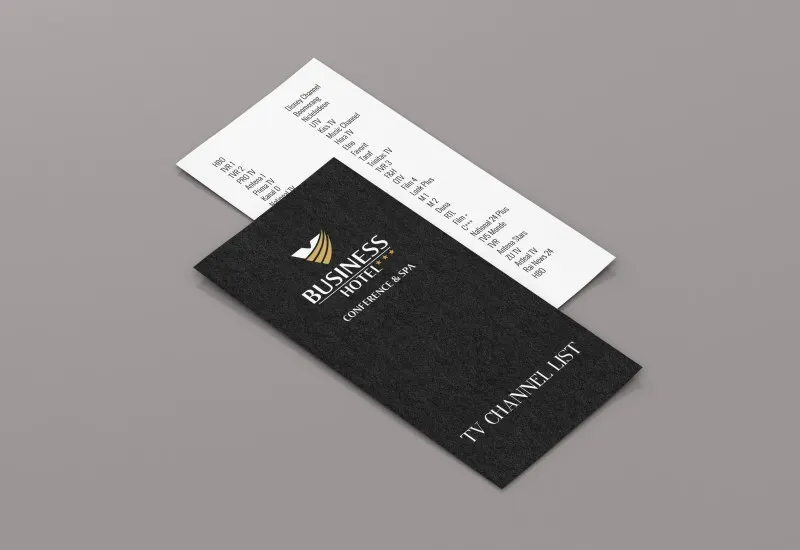 Flyer Voiajor (1)