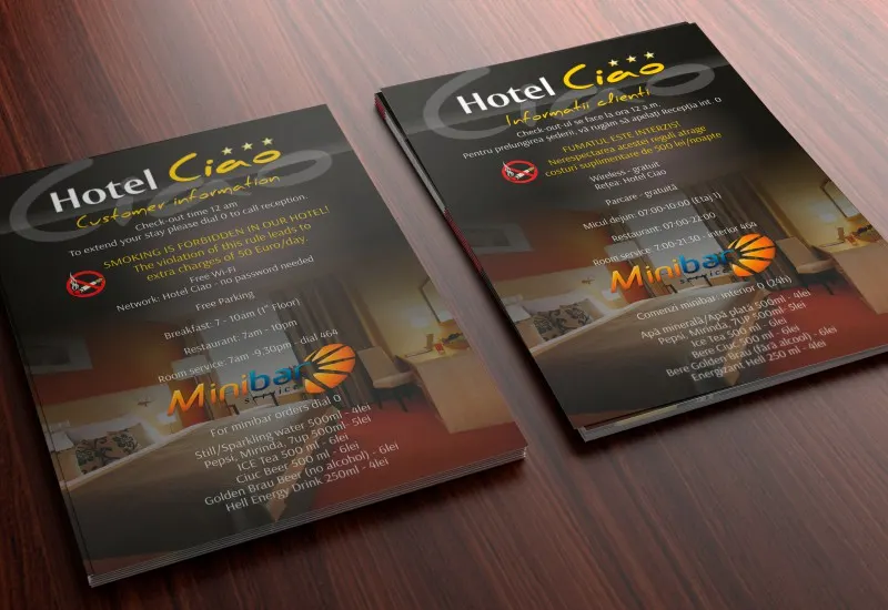 Flyer Voiajor (2)