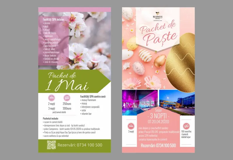 Flyer Voiajor (4)