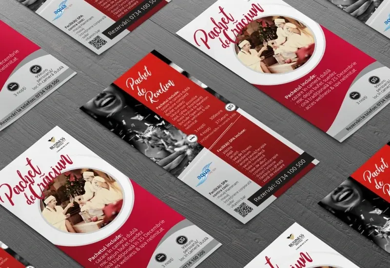 Flyer Voiajor (5)