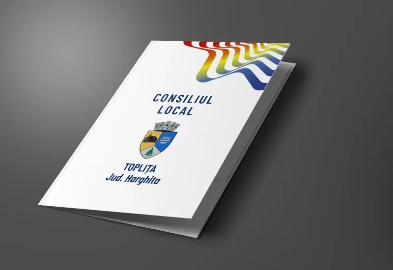 Mapă de prezentare Toplița (1)
